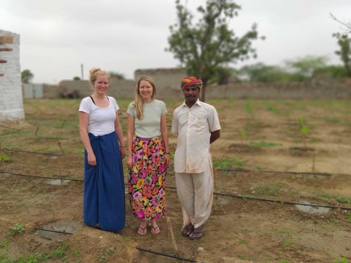 Bishnoi Village Home Stay Джодхпур Екстер'єр фото